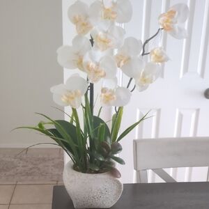 Elegant White Orchid Arrangement in Speckled Vase